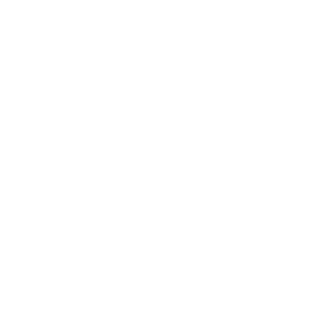repuestos miranda logo